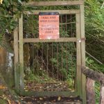 Chimney Tops Trail (2024)