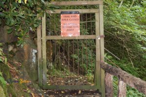 Read more about the article Chimney Tops Trail (2024)